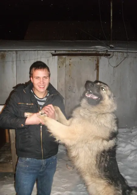 Serega из Иванова, ищу на сайте знакомства на одну ночь