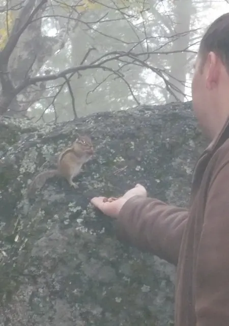 Стрелец из Нефтеюганска, мне 44, познакомлюсь на одну ночь