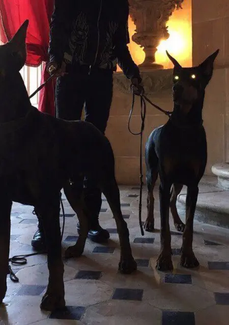 Алиса из Иванова, мне 27, познакомлюсь для общения