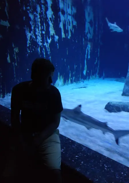 Я Олег, 38, из Новороссийска, ищу знакомства на одну ночь