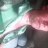 Сергей из Благовещенска, мне 50, познакомлюсь на одну ночь