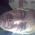 Я Yuriy, 52, из Ставрополя, ищу знакомства без обязательств
