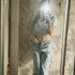 Кристи из Нижнего Новгорода, ищу на сайте без обязательств